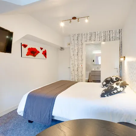 Hotel Brit Le Cygne 3*