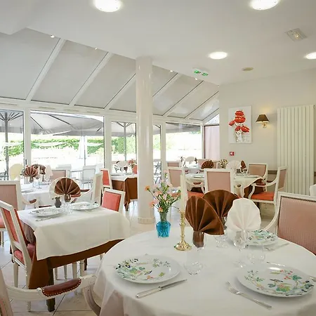 Otel Brit Le Cygne 3*