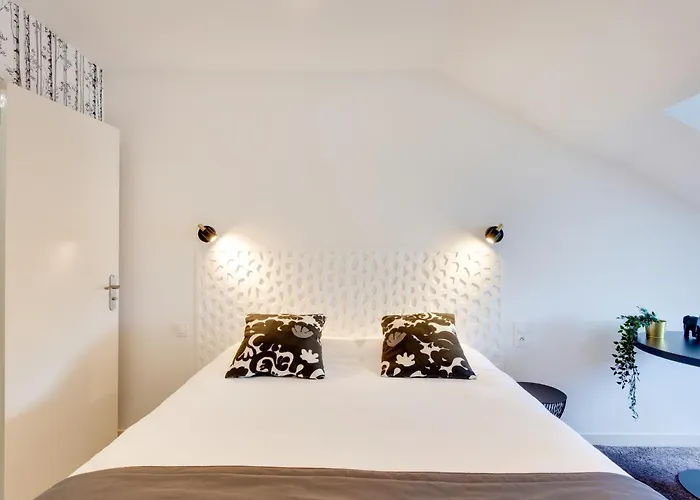 Brit Le Cygne Hotel 3*