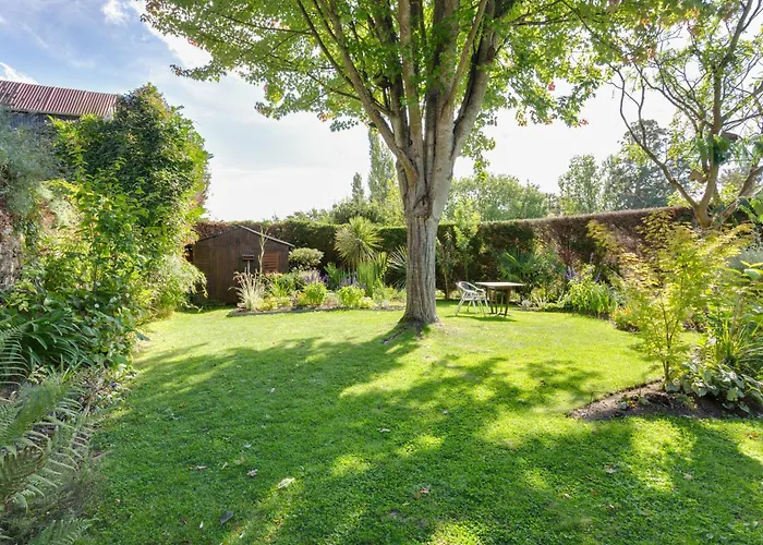 Brit Le Cygne Saint-Hilaire-du-Harcouet